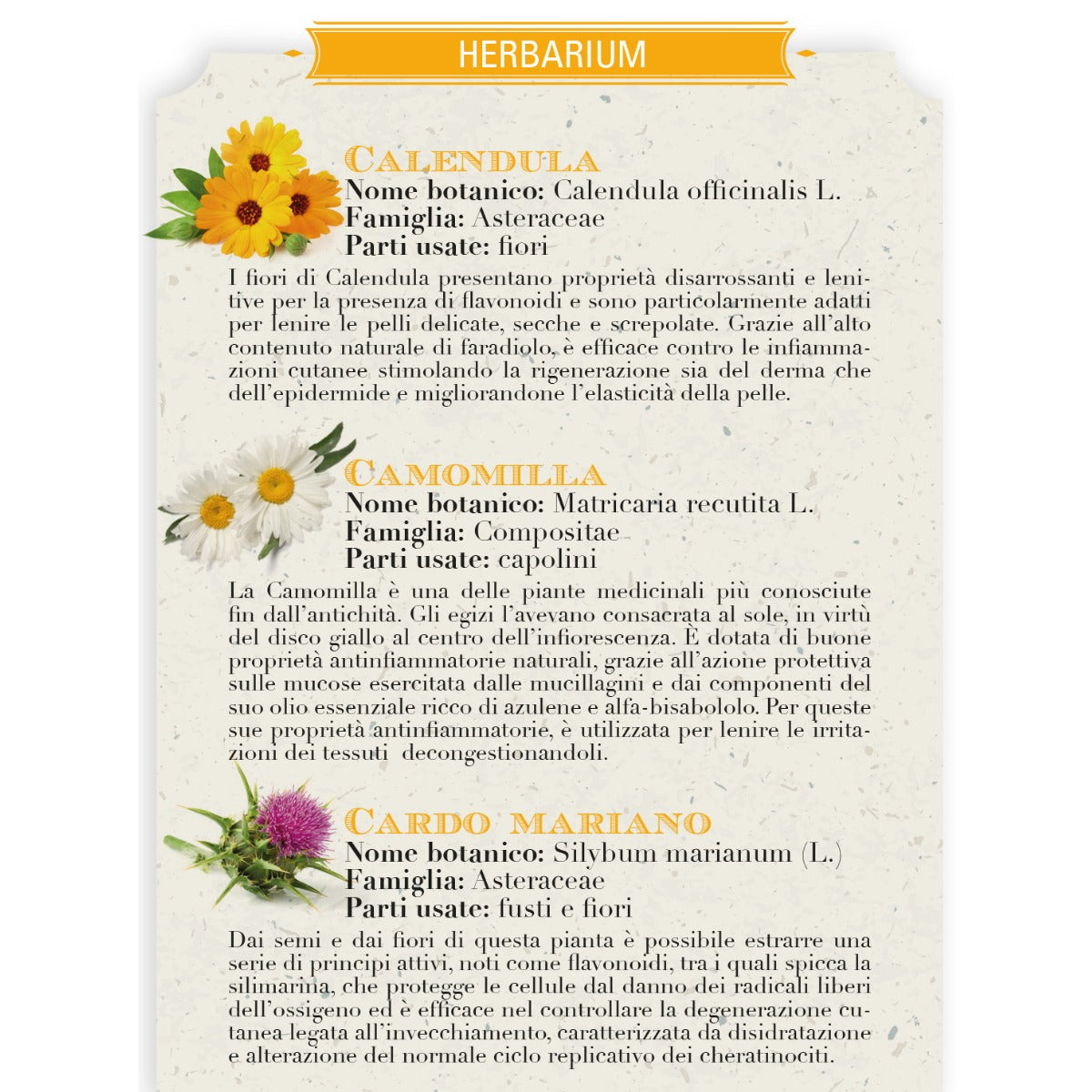 HELAN - I RIMEDI DI HELAN - POMATE Calendula e Camomilla Pomata